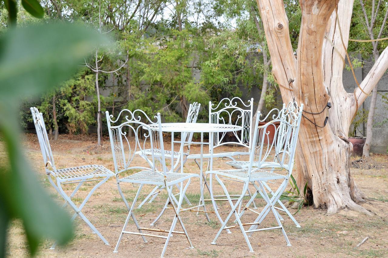 Versailles Self-Catering Ουέλλινγκτον Εξωτερικό φωτογραφία